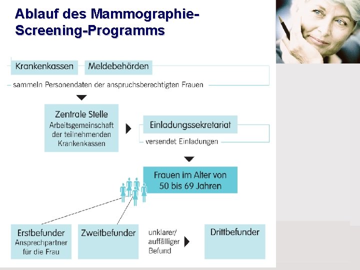 Ablauf des Mammographie. Screening-Programms 