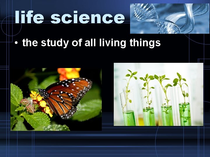 life science • the study of all living things 