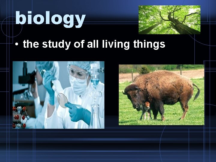biology • the study of all living things 
