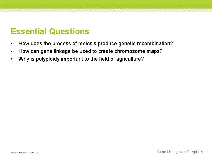 Essential Questions • • • How does the process of meiosis produce genetic recombination? Essential Questions • • • How does the process of meiosis produce genetic recombination?