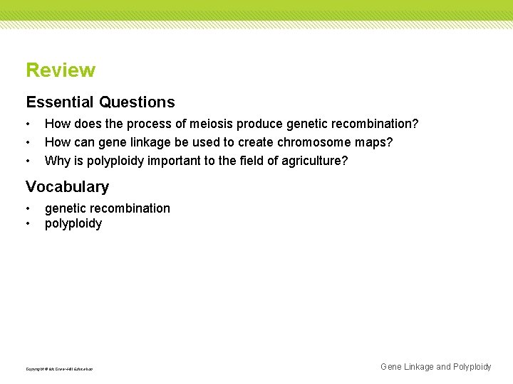 Review Essential Questions • • • How does the process of meiosis produce genetic Review Essential Questions • • • How does the process of meiosis produce genetic