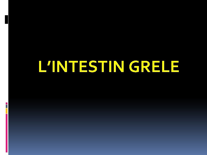 L’INTESTIN GRELE 