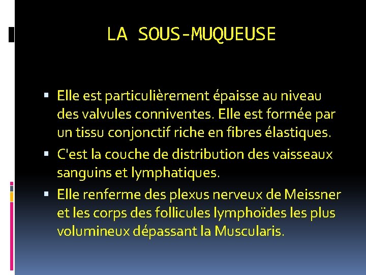 LA SOUS-MUQUEUSE Elle est particulièrement épaisse au niveau des valvules conniventes. Elle est formée