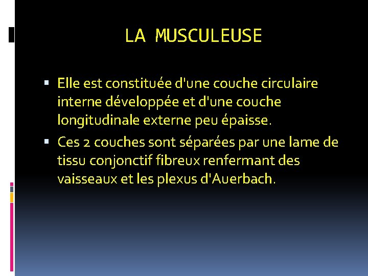 LA MUSCULEUSE Elle est constituée d'une couche circulaire interne développée et d'une couche longitudinale