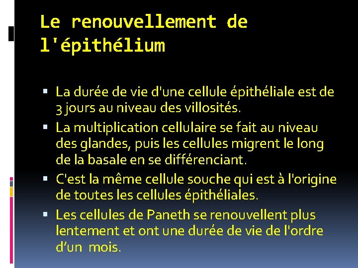 Le renouvellement de l'épithélium La durée de vie d'une cellule épithéliale est de 3