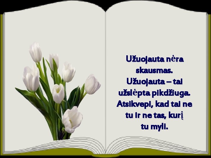 Užuojauta nėra skausmas. Užuojauta – tai užslėpta pikdžiuga. Atsikvepi, kad tai ne tu ir