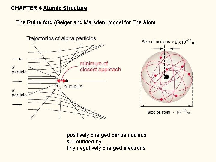 CHAPTER 4 Atomic Structure The Rutherford (Geiger and Marsden) model for The Atom positively