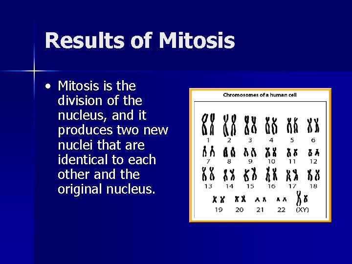 Results of Mitosis • Mitosis is the division of the nucleus, and it produces Results of Mitosis • Mitosis is the division of the nucleus, and it produces