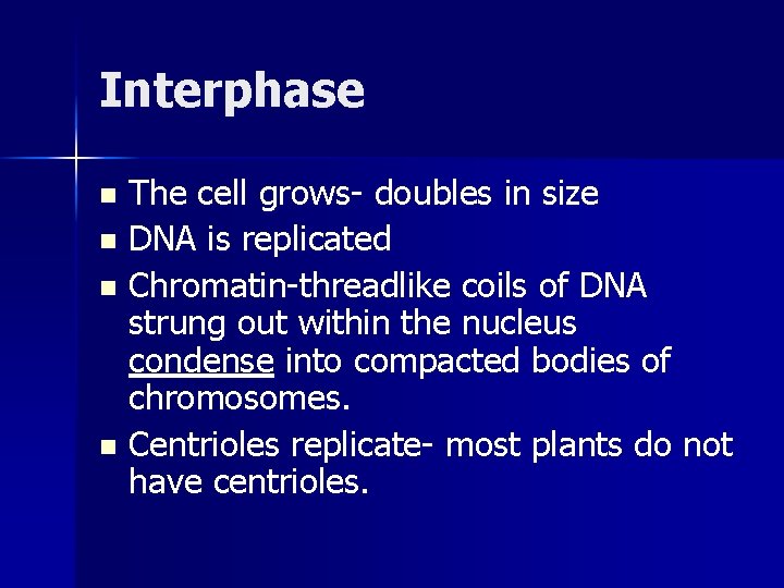 Interphase The cell grows- doubles in size n DNA is replicated n Chromatin-threadlike coils Interphase The cell grows- doubles in size n DNA is replicated n Chromatin-threadlike coils