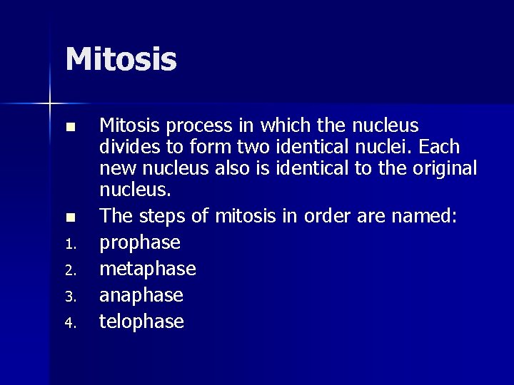 Mitosis n n 1. 2. 3. 4. Mitosis process in which the nucleus divides Mitosis n n 1. 2. 3. 4. Mitosis process in which the nucleus divides