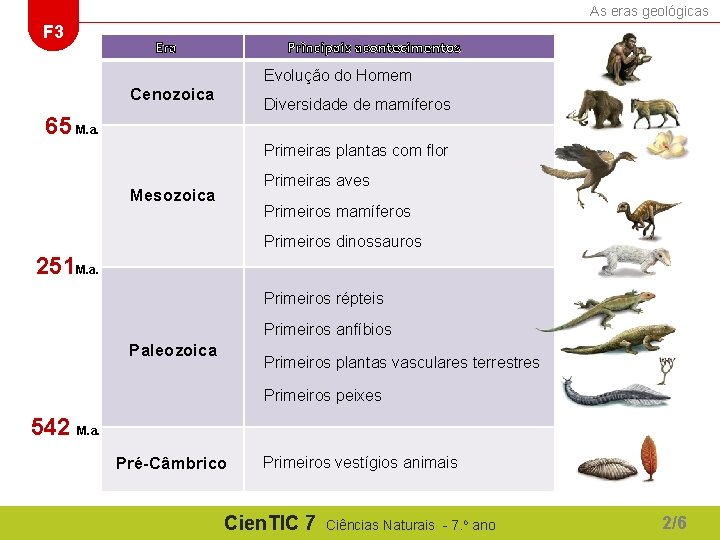As eras geológicas F 3 Era Principais acontecimentos Evolução do Homem Cenozoica Mesozoica 65