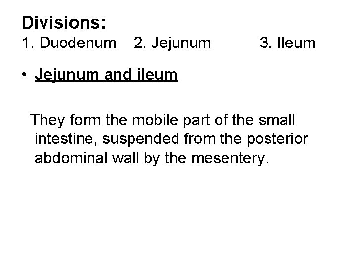 Divisions: 1. Duodenum 2. Jejunum 3. Ileum • Jejunum and ileum They form the