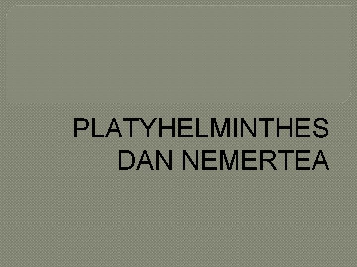 PLATYHELMINTHES DAN NEMERTEA 