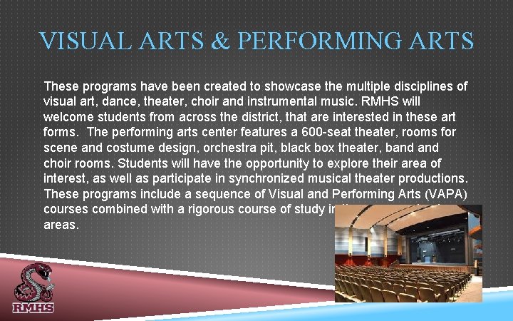 VISUAL ARTS & PERFORMING ARTS These programs have been created to showcase the multiple