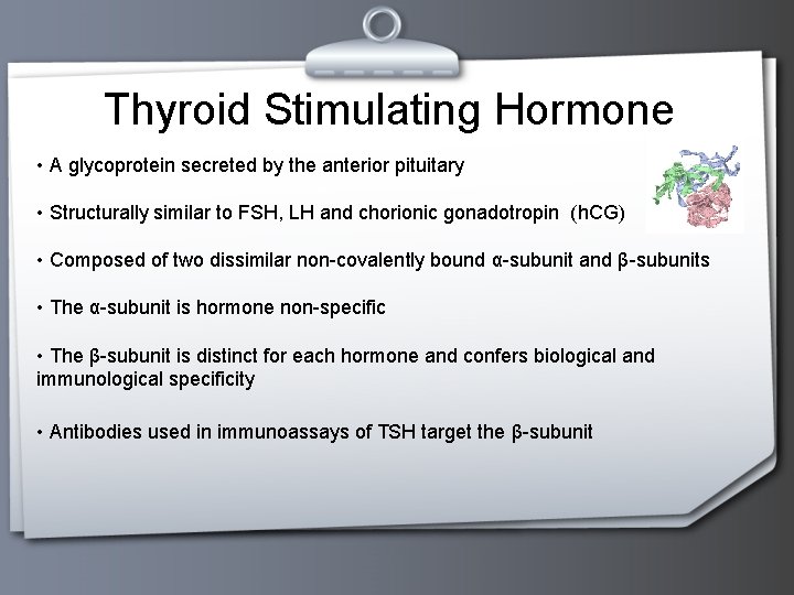 Thyroid Stimulating Hormone • A glycoprotein secreted by the anterior pituitary • Structurally similar