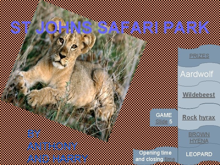 ST JOHNS SAFARI PARK PRIZES Aardwolf Wildebeest GAME Slide 5 BY ANTHONY AND HARRY