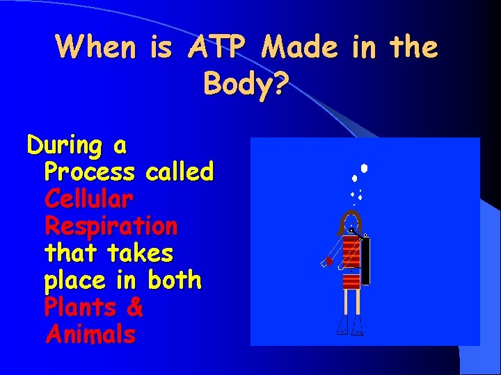 When is ATP Made in the Body? During a Process called Cellular Respiration that