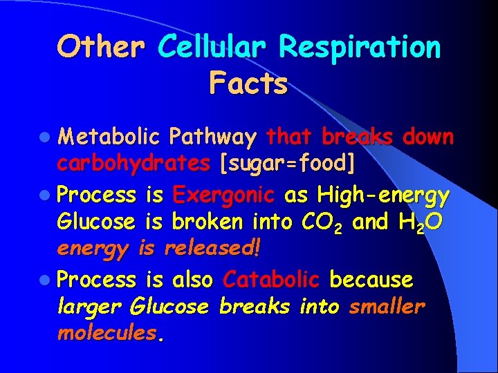 Other Cellular Respiration Facts l Metabolic Pathway that breaks down carbohydrates [sugar=food] l Process