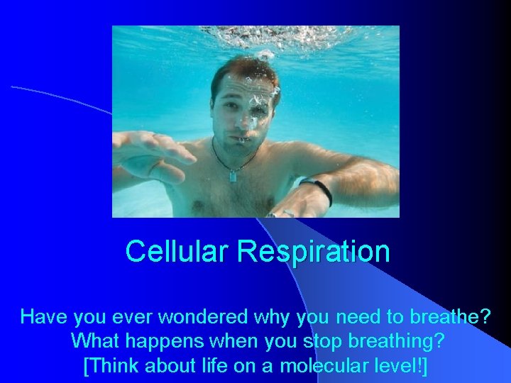 Cellular Respiration Have you ever wondered why you need to breathe? What happens when