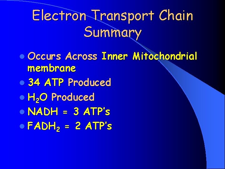 Electron Transport Chain Summary l Occurs Across Inner Mitochondrial membrane l 34 ATP Produced