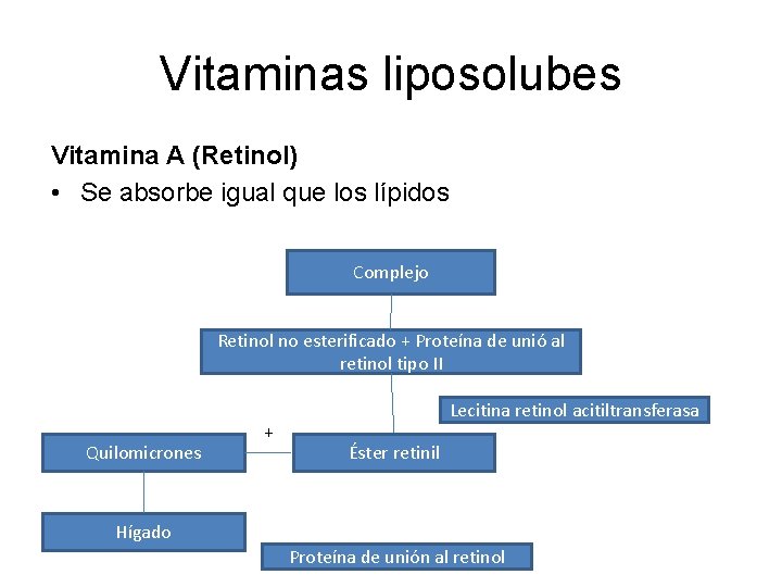 Vitaminas liposolubes Vitamina A (Retinol) • Se absorbe igual que los lípidos Complejo Retinol