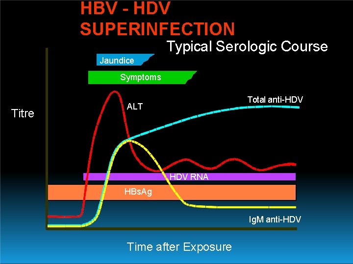 HBV - HDV SUPERINFECTION Typical Serologic Course Jaundice Symptoms Titre Total anti-HDV ALT HDV