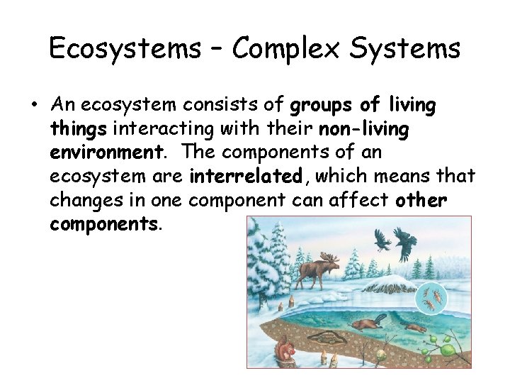 Complex System Human Ecosystem Unit 1 Sustainable Ecosystems and Human Activity Lesson