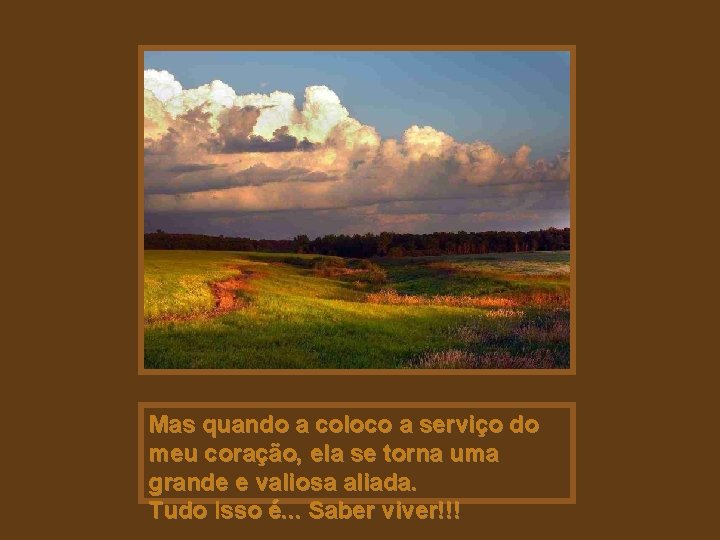 Mas quando a coloco a serviço do meu coração, ela se torna uma grande