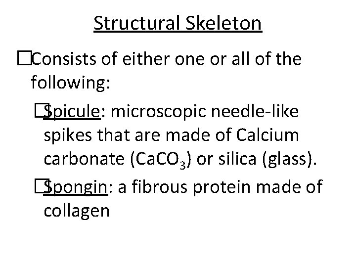 Structural Skeleton �Consists of either one or all of the following: �Spicule: microscopic needle-like