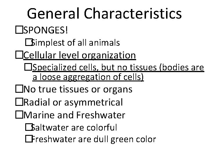 General Characteristics �SPONGES! �Simplest of all animals �Cellular level organization �Specialized cells, but no