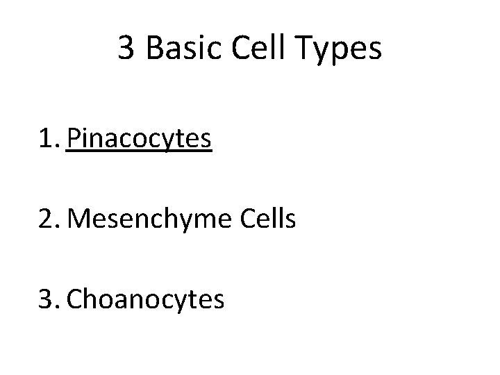 3 Basic Cell Types 1. Pinacocytes 2. Mesenchyme Cells 3. Choanocytes 