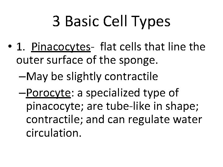 3 Basic Cell Types • 1. Pinacocytes- flat cells that line the outer surface