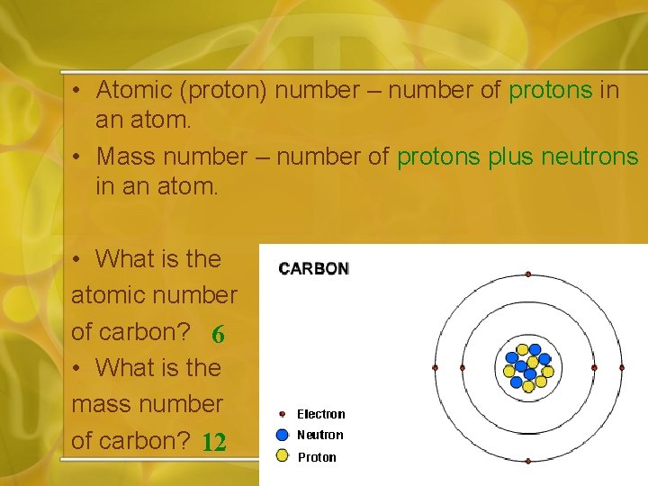  • Atomic (proton) number – number of protons in an atom. • Mass