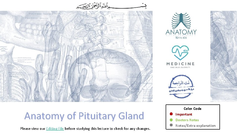 Anatomy of Pituitary Gland Please view our Editing File before studying this lecture to