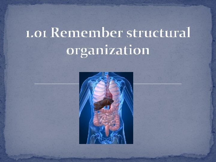 1. 01 Remember structural organization 