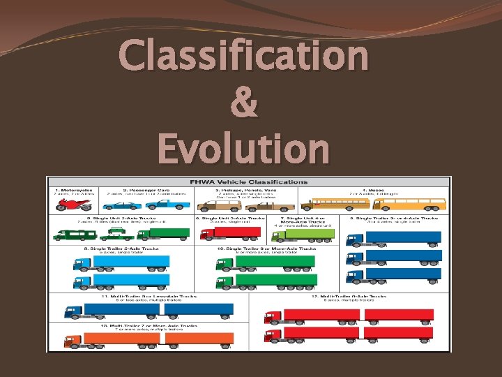 Classification & Evolution 