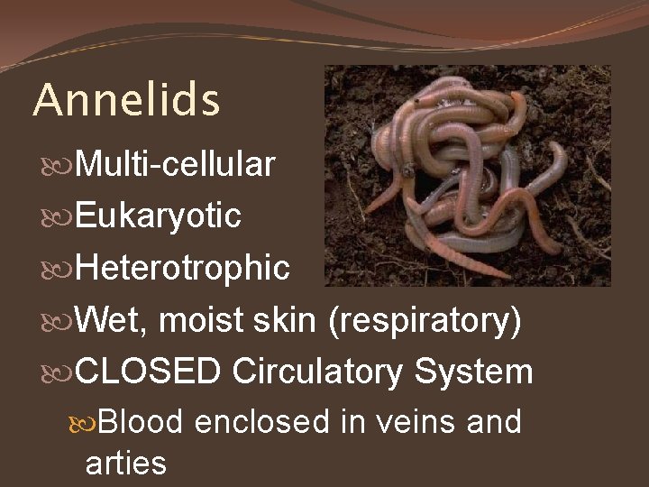 Annelids Multi-cellular Eukaryotic Heterotrophic Wet, moist skin (respiratory) CLOSED Circulatory System Blood enclosed in