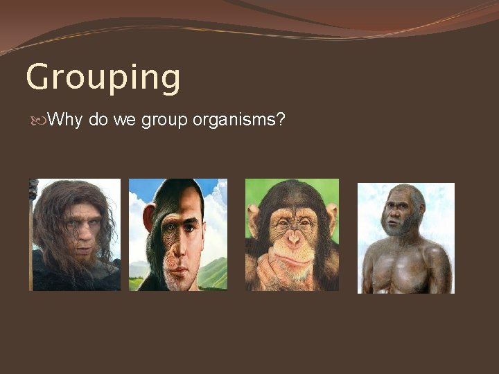 Grouping Why do we group organisms? 