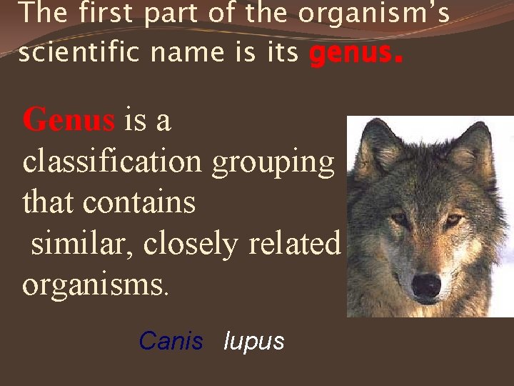 The first part of the organism’s scientific name is its genus. Genus is a