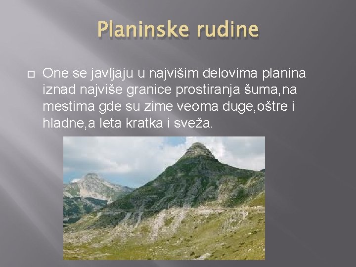 Planinske rudine One se javljaju u najvišim delovima planina iznad najviše granice prostiranja šuma,