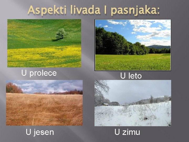 Aspekti livada I pasnjaka: U prolece U jesen U leto U zimu 