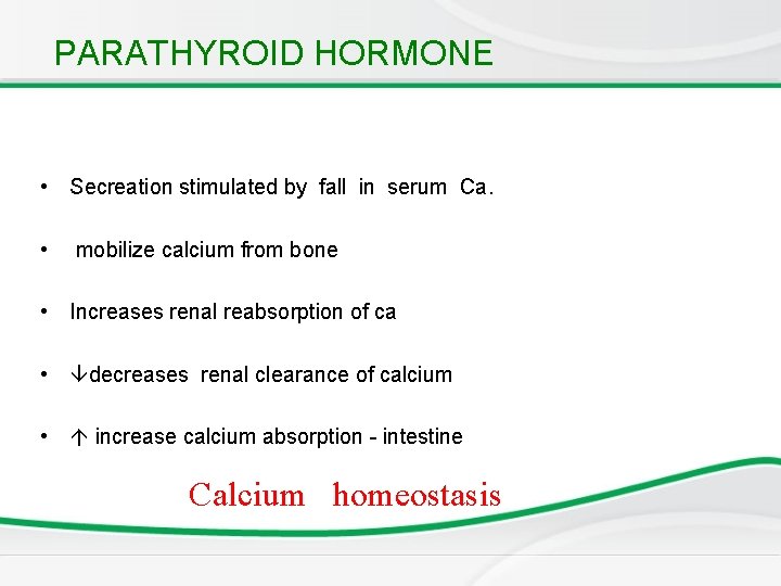 PARATHYROID HORMONE • Secreation stimulated by fall in serum Ca. • mobilize calcium from