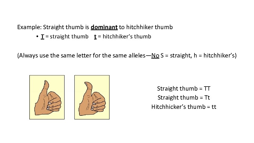 Example: Straight thumb is dominant to hitchhiker thumb • T = straight thumb t
