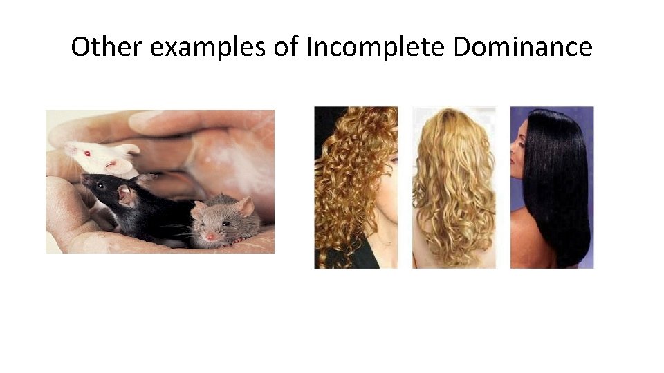 Other examples of Incomplete Dominance 