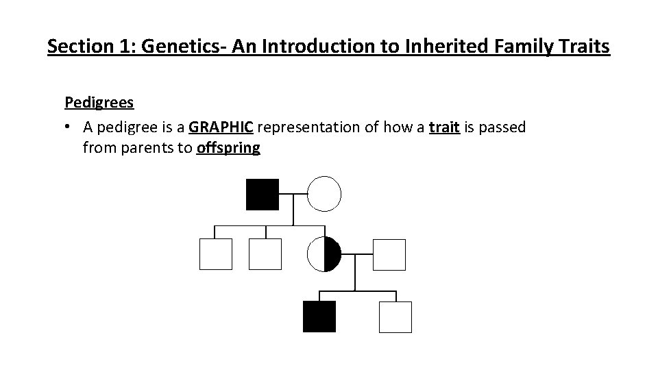 Section 1: Genetics An Introduction to Inherited Family Traits Pedigrees • A pedigree is