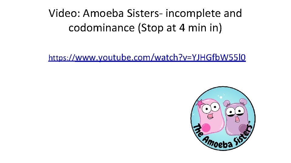 Video: Amoeba Sisters- incomplete and codominance (Stop at 4 min in) https: //www. youtube.