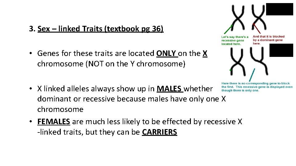 3. Sex – linked Traits (textbook pg 36) • Genes for these traits are