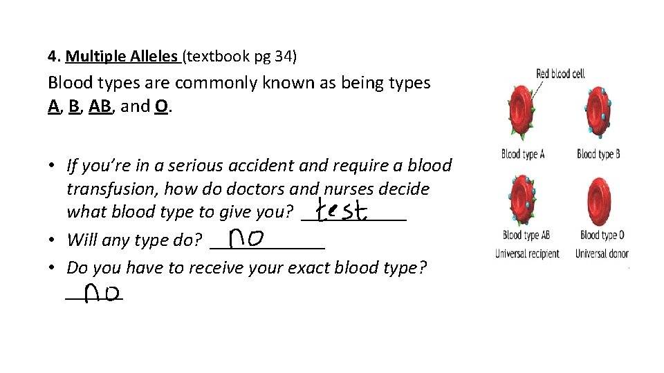 4. Multiple Alleles (textbook pg 34) Blood types are commonly known as being types