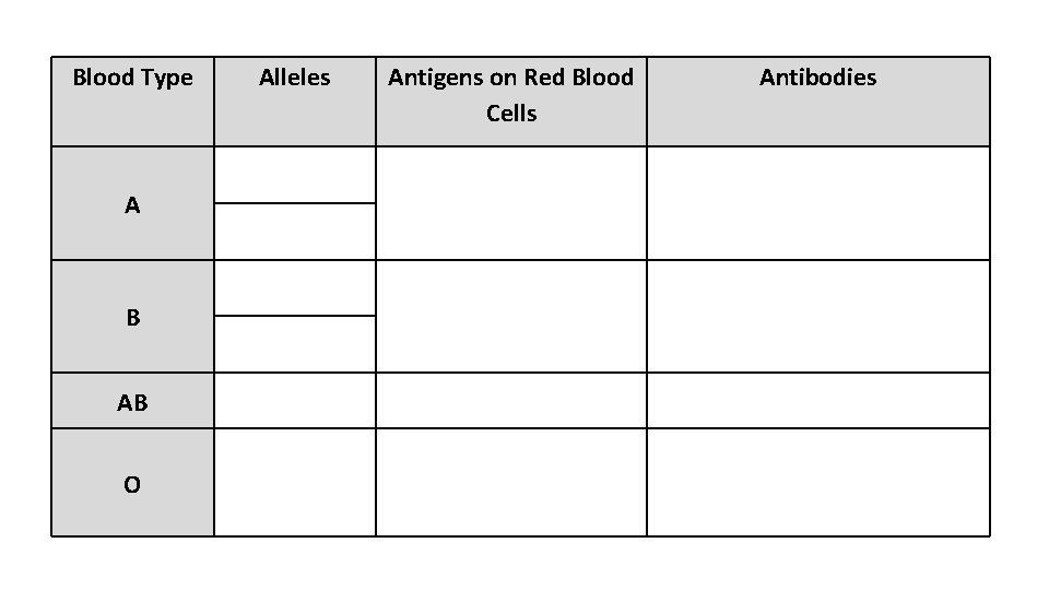 Blood Type A B AB O Alleles Antigens on Red Blood Cells Antibodies 