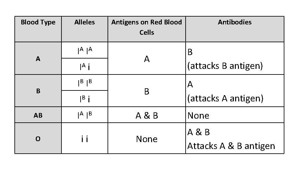 Blood Type A B AB O Alleles IA IA IA i IB IB IB